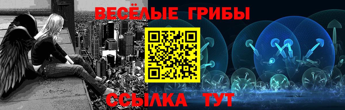 Псилоцибиновые грибы ЛСД Минеральные Воды