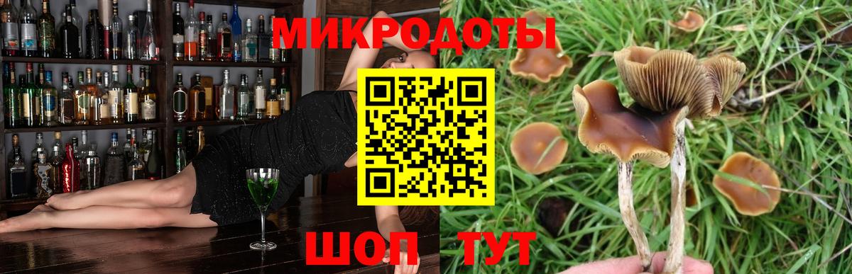 купить наркотик  Галлюциногенные грибы мицелий  Вход с VPN  Минеральные Воды 